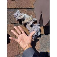 Trapped lint pulled out of a dryer vent. Look at how big it is!