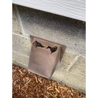 A damaged dryer vent on the outside of a client's home. 
