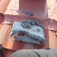 A pile of lint that was removed by one of our expert technicians. 